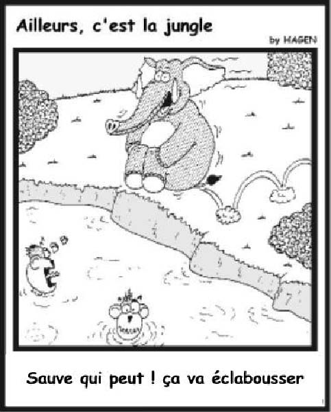 Ailleurs, c'est la jungle 5-humourenvrac